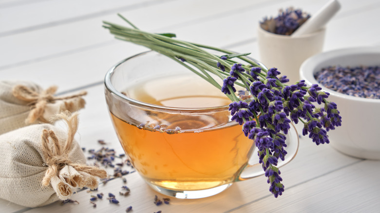 lavender tea, fresh lavender, and lavender satchels